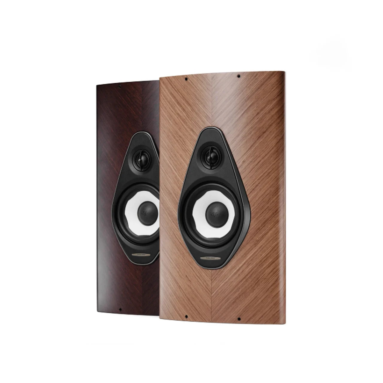 Sonus Faber Olympica G3 Wall, 2-Weg Wandlautsprecher