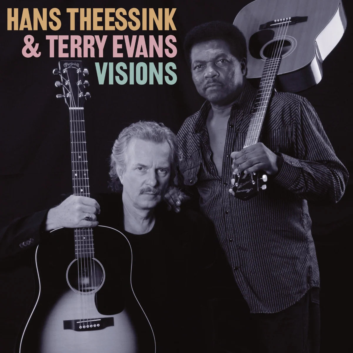 Revox Master Tape, HANS THEESSINK & TERRY EVANS - VISIONS